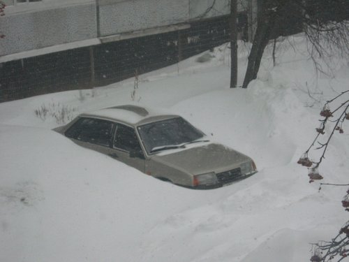 Природное противоугонное средство